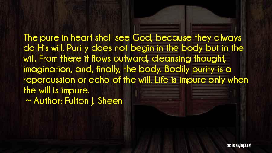 Body Cleansing Quotes By Fulton J. Sheen