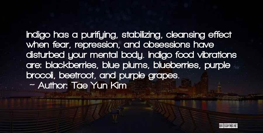 Body Cleansing Quotes By Tae Yun Kim