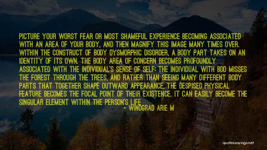 Body Dysmorphic Quotes By Winograd Arie M