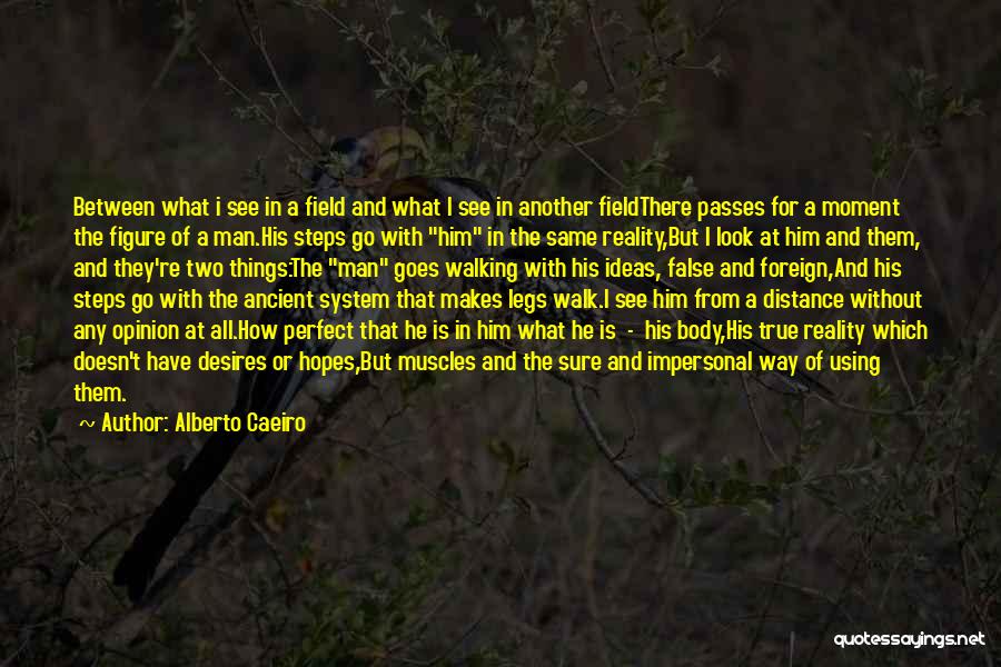Body Figure Quotes By Alberto Caeiro