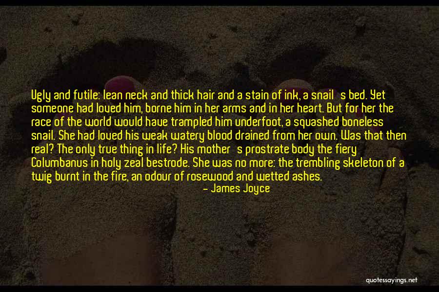 Body Hair Quotes By James Joyce Body Hair Quotes By James Joyce