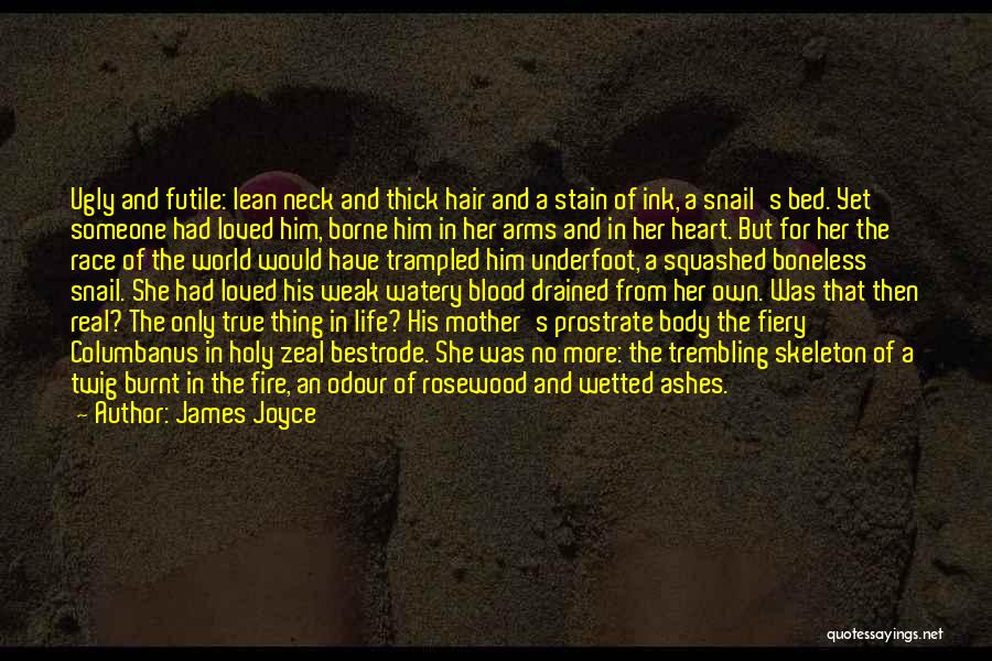 Body Heart And Soul Quotes By James Joyce