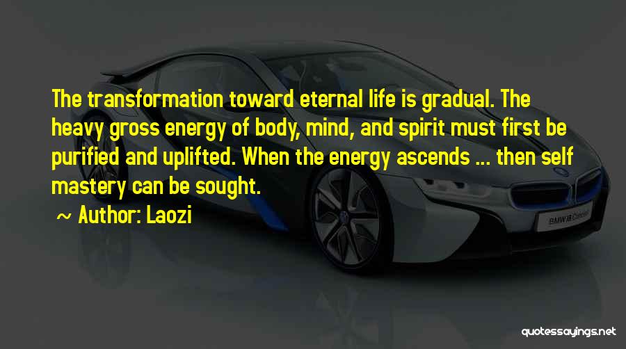 Body Mind Mastery Quotes By Laozi