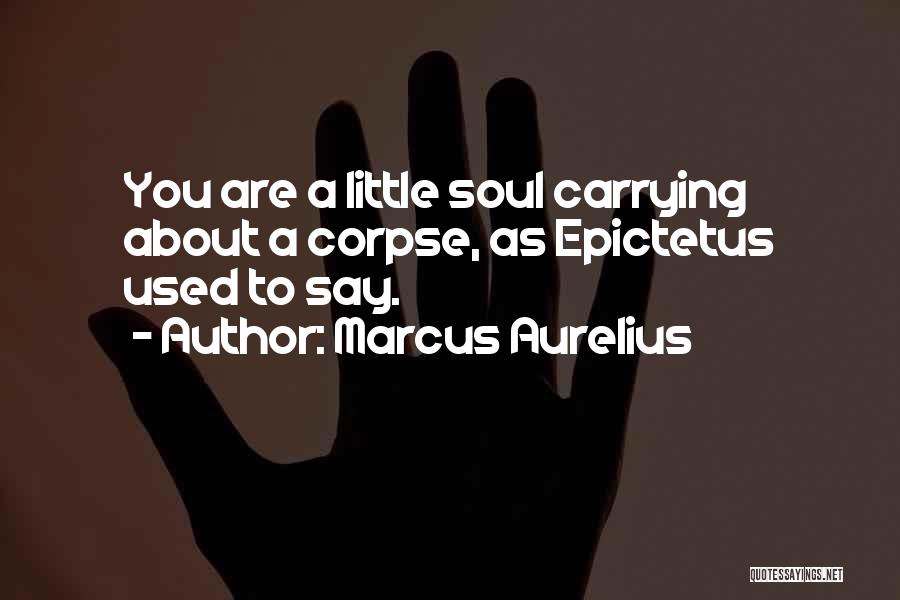 Body Over Mind Quotes By Marcus Aurelius