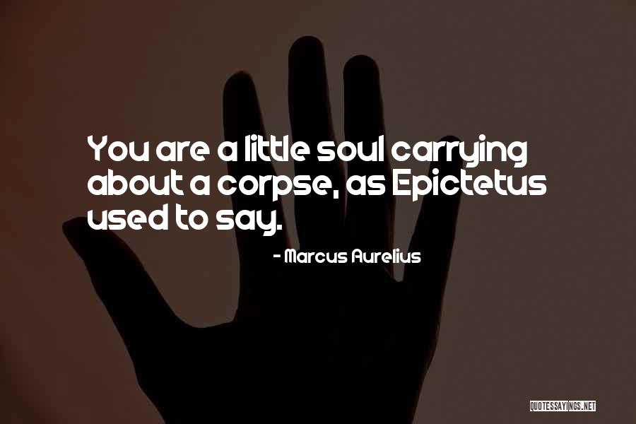 Body Over Mind Quotes By Marcus Aurelius