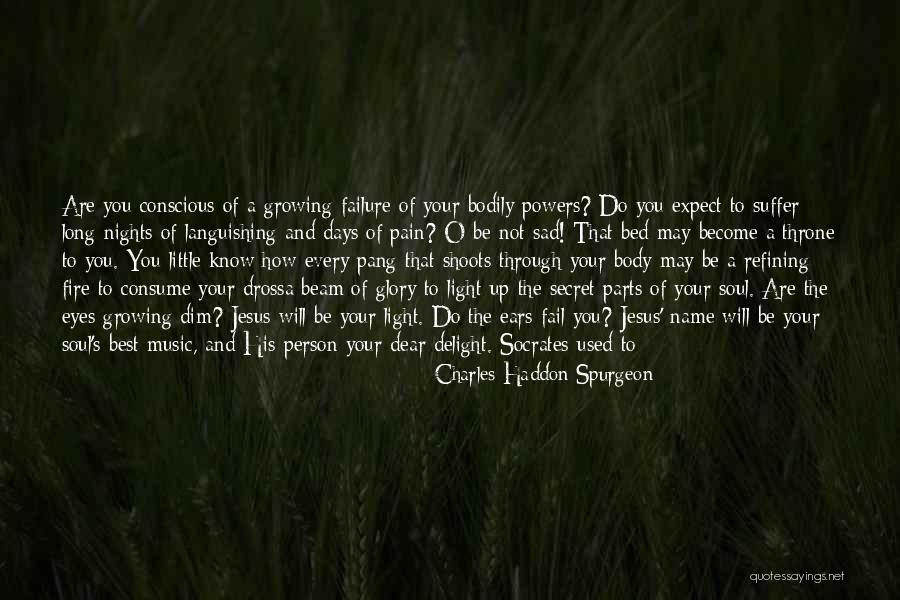 Body Power Quotes By Charles Haddon Spurgeon