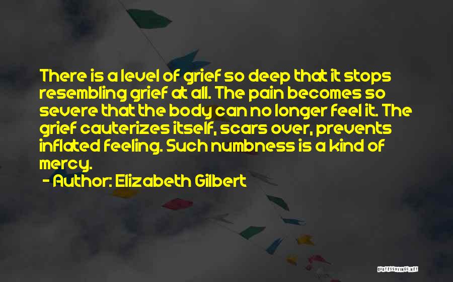 Body Scars Quotes By Elizabeth Gilbert