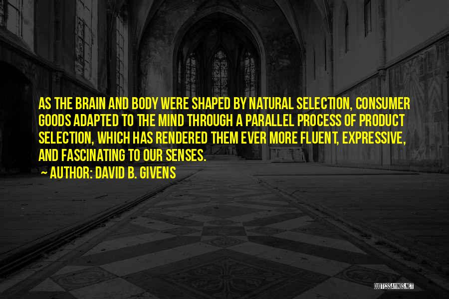 Body Senses Quotes By David B. Givens