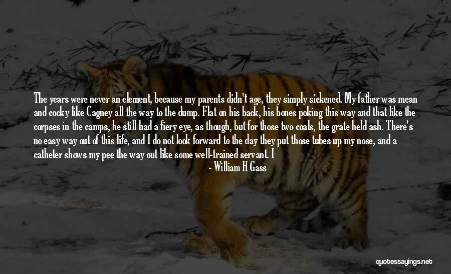 Body Servant Quotes By William H Gass Body Servant Quotes By William H Gass