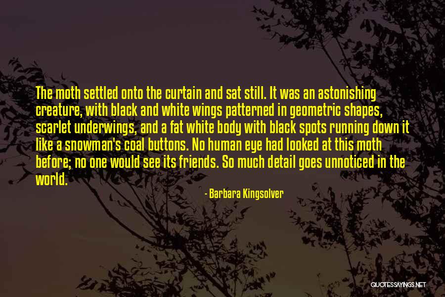 Body Shapes Quotes By Barbara Kingsolver