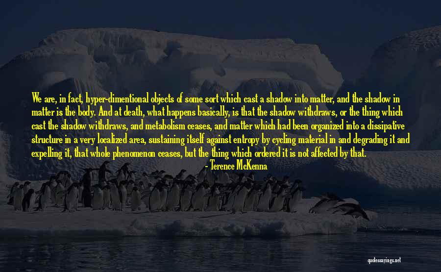Body Structure Quotes By Terence McKenna Body Structure Quotes By Terence McKenna