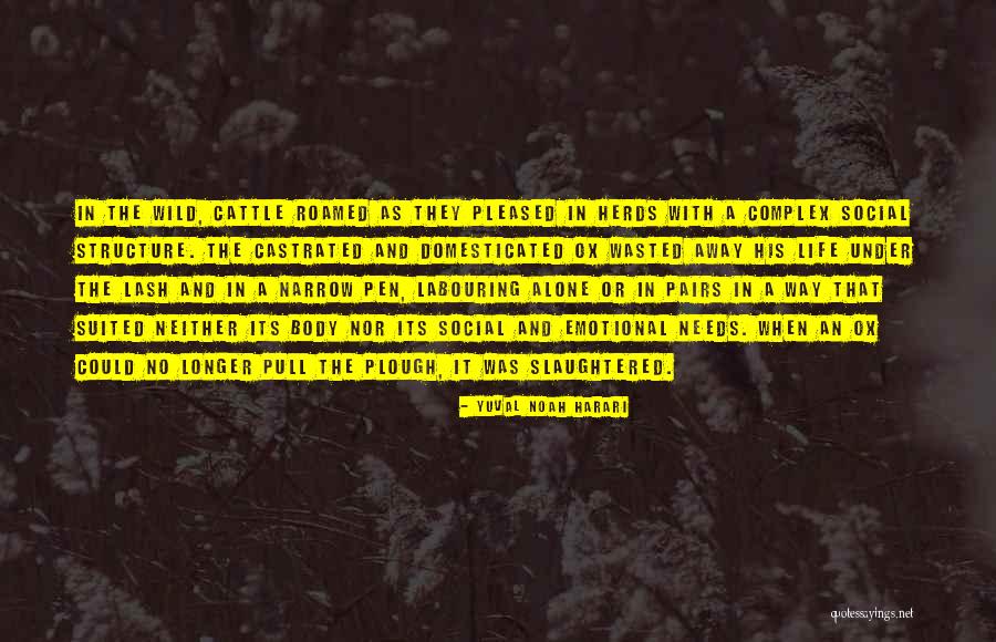 Body Structure Quotes By Yuval Noah Harari Body Structure Quotes By Yuval Noah Harari