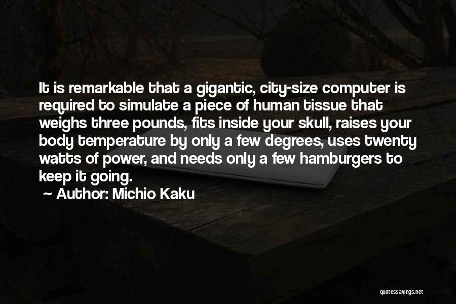 Body Temperature Quotes By Michio Kaku