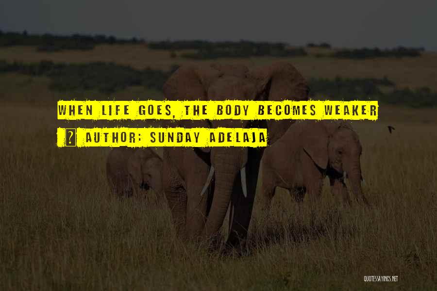 Body Work Quotes By Sunday Adelaja