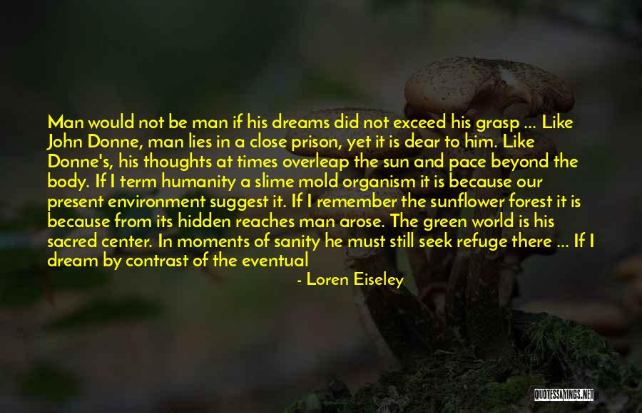 Body Worlds Heart Quotes By Loren Eiseley Body Worlds Heart Quotes By Loren Eiseley