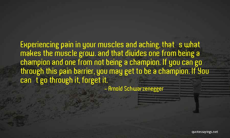 Bodybuilding By Arnold Quotes By Arnold Schwarzenegger Bodybuilding By Arnold Quotes By Arnold Schwarzenegger