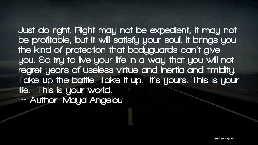 Bodyguards Quotes By Maya Angelou