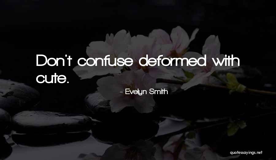 Boelhouwer 1991 Quotes By Evelyn Smith Boelhouwer 1991 Quotes By Evelyn Smith