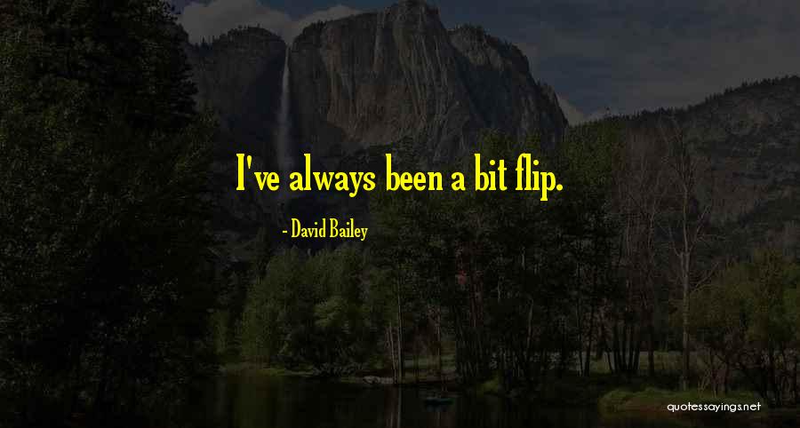 Boeotian Helmet Quotes By David Bailey Boeotian Helmet Quotes By David Bailey