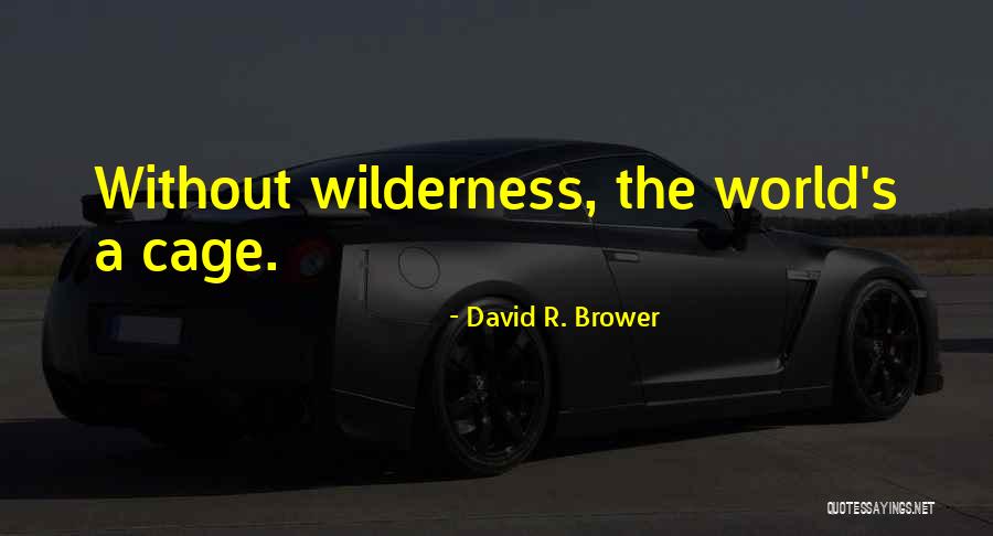 Boepple Enterprises Quotes By David R. Brower Boepple Enterprises Quotes By David R. Brower