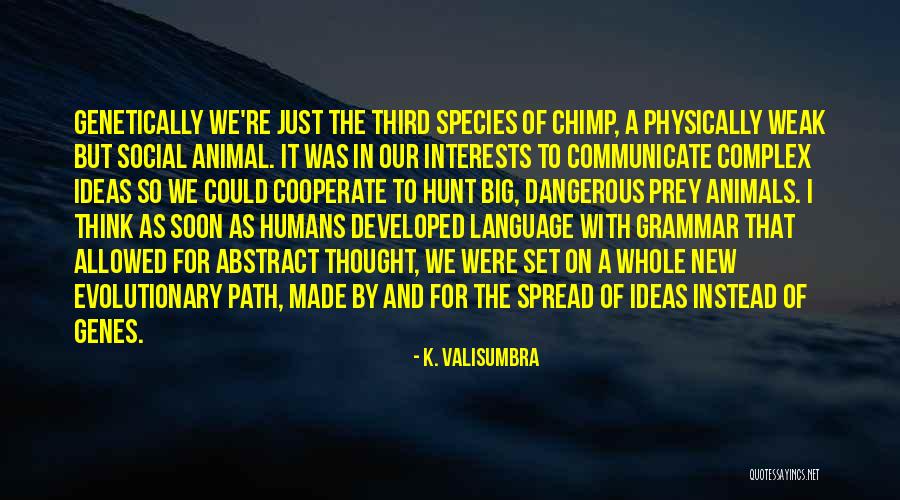 Boerger Grinder Quotes By K. Valisumbra Boerger Grinder Quotes By K. Valisumbra