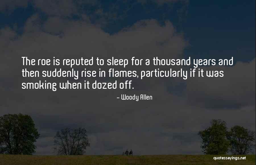 Boesman And Lena Quotes By Woody Allen Boesman And Lena Quotes By Woody Allen