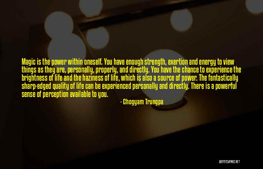 Boetius Feyenoord Quotes By Chogyam Trungpa Boetius Feyenoord Quotes By Chogyam Trungpa