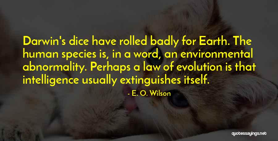 Boettger Buffalo Quotes By E. O. Wilson Boettger Buffalo Quotes By E. O. Wilson
