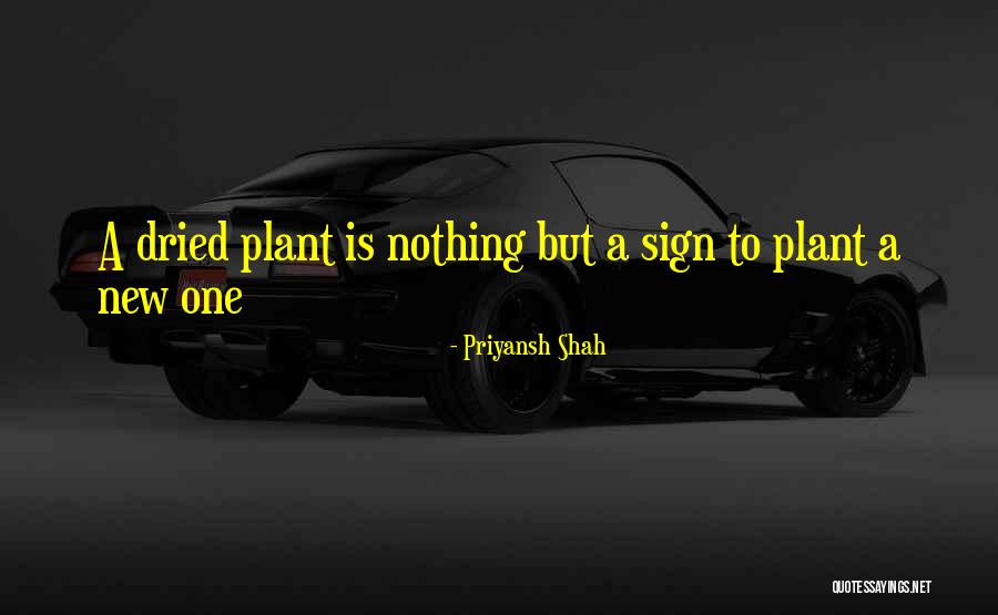 Bogdanowicz Dentysta Quotes By Priyansh Shah Bogdanowicz Dentysta Quotes By Priyansh Shah