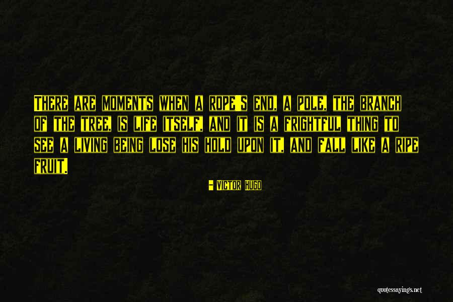Bogertophis Quotes By Victor Hugo Bogertophis Quotes By Victor Hugo