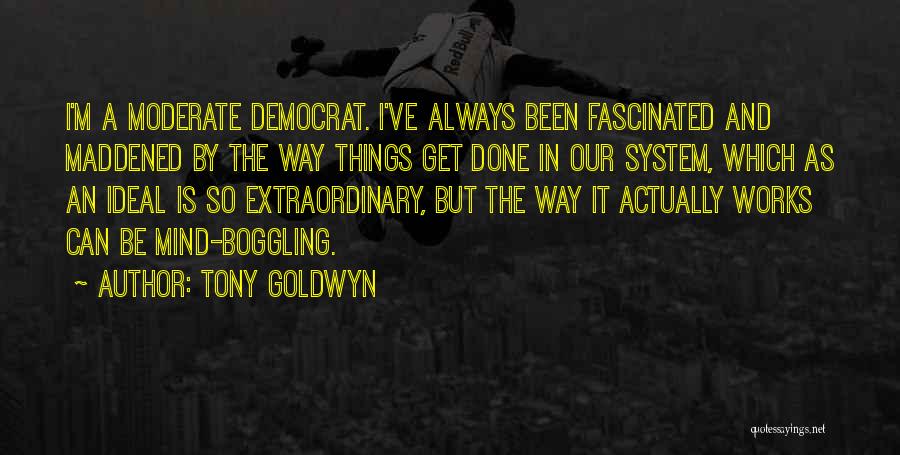 Boggling Quotes By Tony Goldwyn