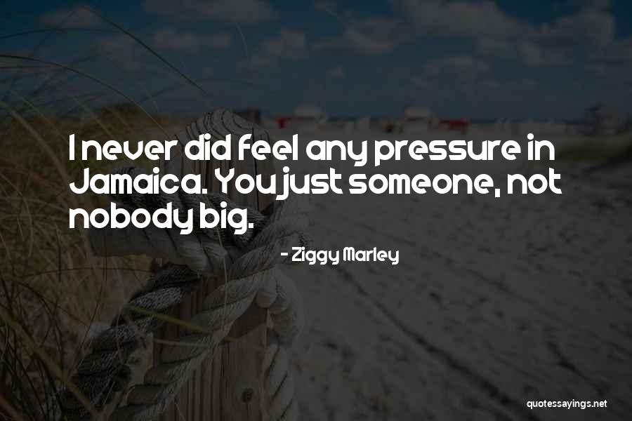 Bogomir Kovac Quotes By Ziggy Marley