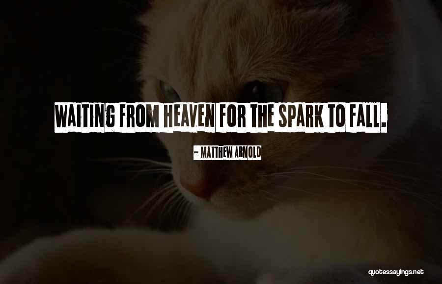 Bogumila Cvet Quotes By Matthew Arnold Bogumila Cvet Quotes By Matthew Arnold