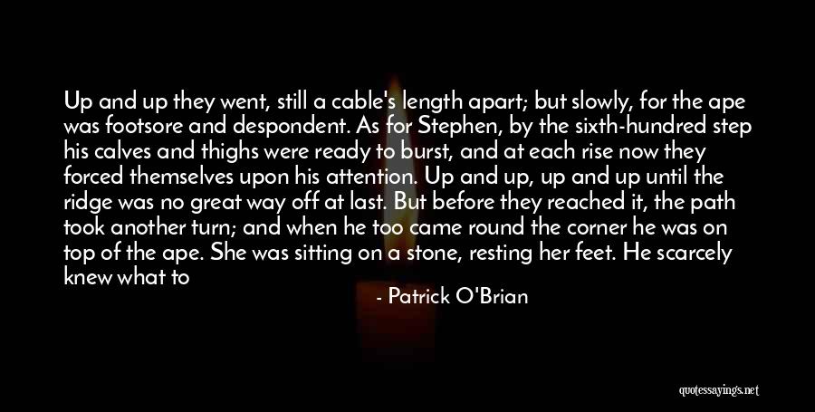 Bogusky Imon Quotes By Patrick O'Brian Bogusky Imon Quotes By Patrick O'Brian