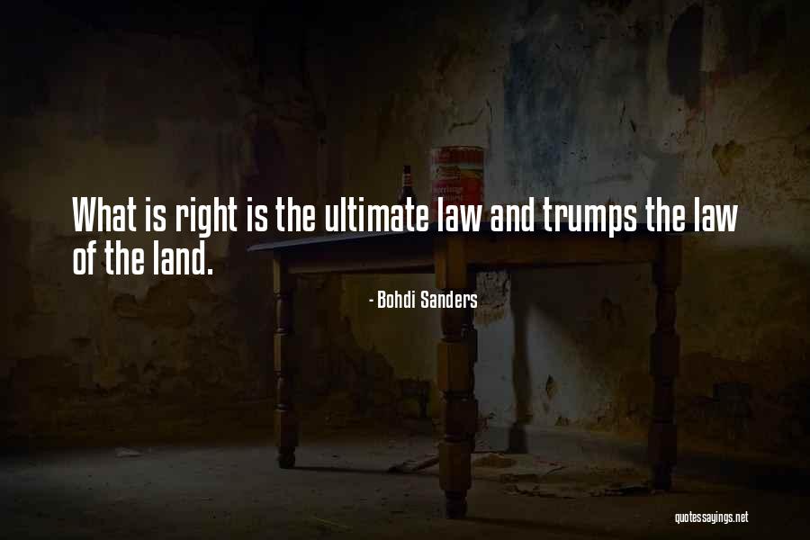 Bohdi Sanders Quotes 1037988