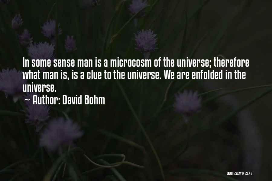 Bohm Quotes By David Bohm