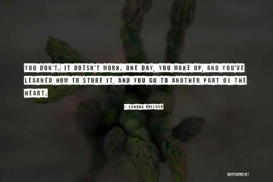 Bohms Zebra Quotes By Sandra Bullock Bohms Zebra Quotes By Sandra Bullock