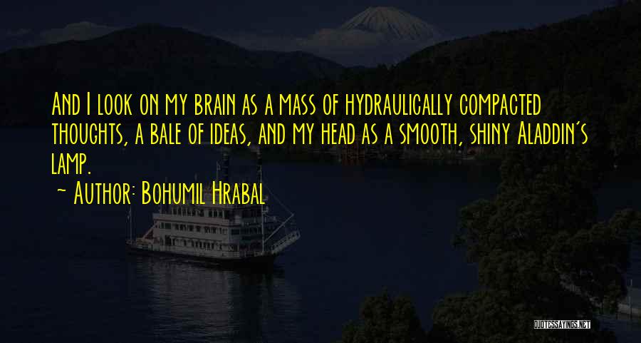 Bohumil Hrabal Quotes 1887053