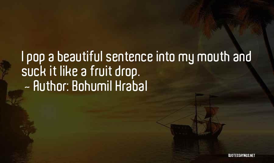 Bohumil Hrabal Quotes 493476