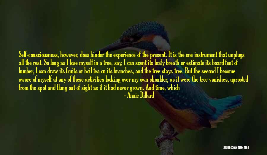 Boil Tea Quotes By Annie Dillard Boil Tea Quotes By Annie Dillard