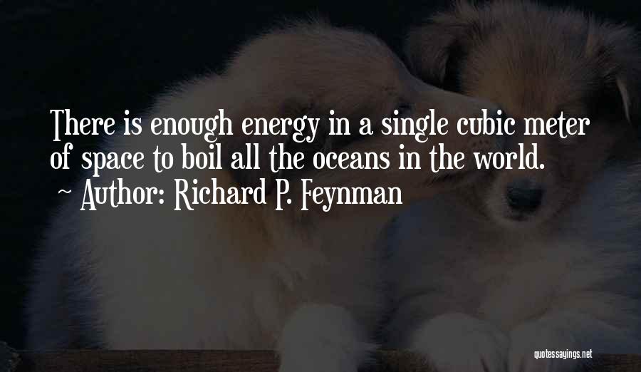 Boil The Ocean Quotes By Richard P. Feynman