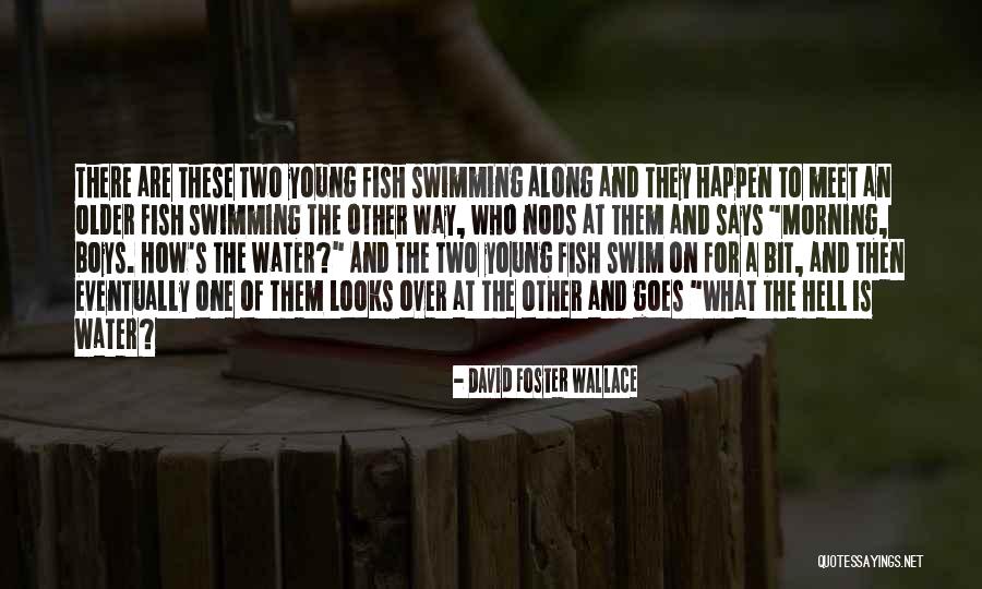 Boilermakers Most Program Quotes By David Foster Wallace Boilermakers Most Program Quotes By David Foster Wallace