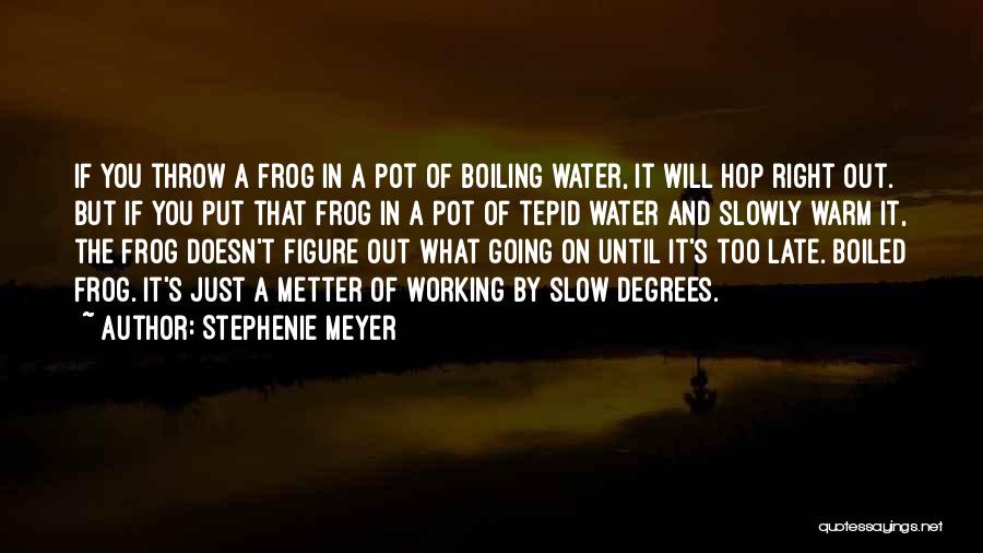 Boiling Frog Quotes By Stephenie Meyer