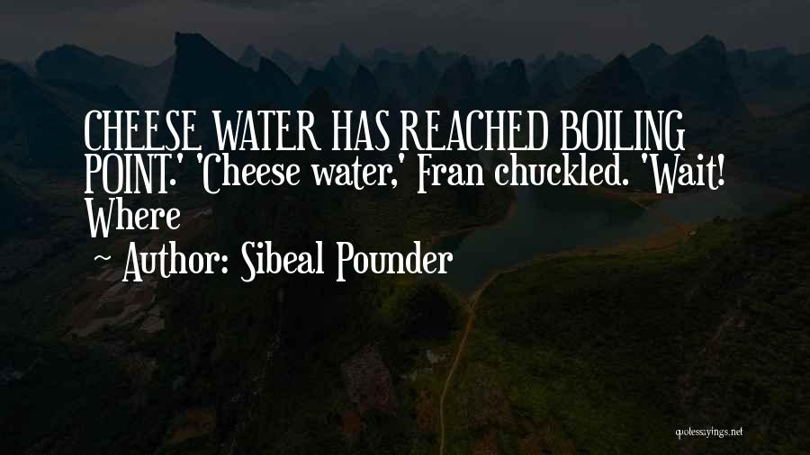 Boiling Point Quotes By Sibeal Pounder