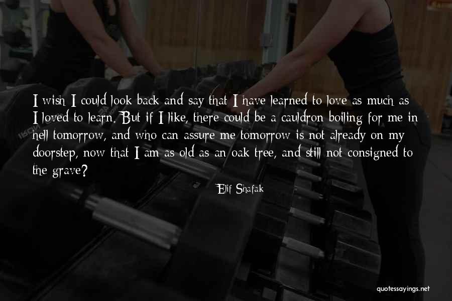 Boiling Quotes By Elif Shafak Boiling Quotes By Elif Shafak