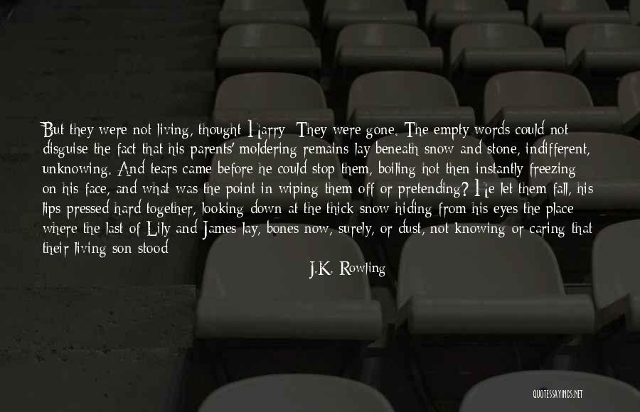 Boiling Quotes By J.K. Rowling Boiling Quotes By J.K. Rowling
