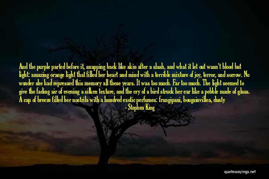 Boiling Quotes By Stephen King Boiling Quotes By Stephen King