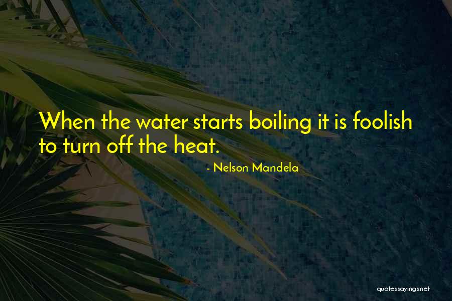 Boiling Water Quotes By Nelson Mandela