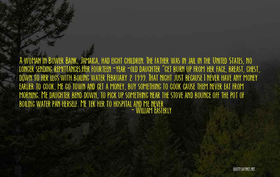 Boiling Water Quotes By William Easterly Boiling Water Quotes By William Easterly