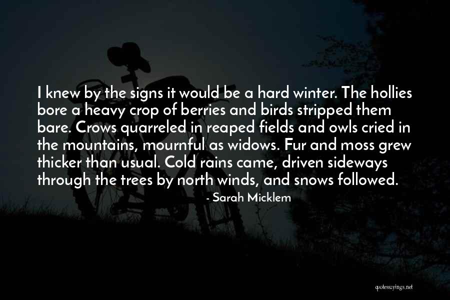 Boira Khulna Quotes By Sarah Micklem Boira Khulna Quotes By Sarah Micklem